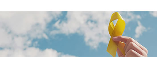 Submission for Type II Variation Application for Ryeqo<sup>®</sup> for the Treatment of Endometriosis